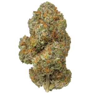 Lemon Cherry Gelato